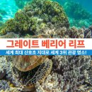 우림해양개발(주) | 그레이트 베리어 리프, 세계 최대 산호초 지대로 세계 3위 관광 명소!