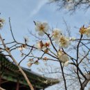 대평중학교(정자동) 이미지