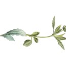 역세권웰가공인중개사사무소 이미지