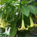 동남공원 이미지