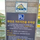 화양초등학교 앞 이미지