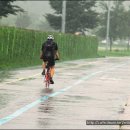 좋아서하는 이미지