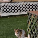 포천제일오토카센타 | 포천글램핑 추천 16개월 아기랑 다녀온 백운계곡글램핑 프리미엄동 후기