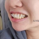 연세차치과의원 이미지