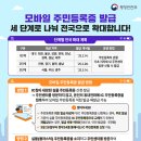 모바일 주민등록증 단계적 발급 안내 이미지