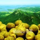 팔봉산영농조합법인 이미지