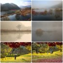 만수전복국밥 | 구포 만수전복국밥/실버캐슬요양병원 컷봉사/길모퉁이 커피숍/11월의 김해 장미~♡