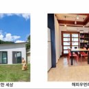 멍편한세상 이미지