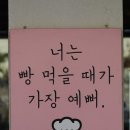 솔향기치킨