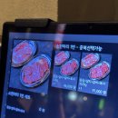 경성고기꾼 - 동대문구 회기로21길 8 | 경성고기꾼