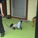 양양하조대마당넓은밤하늘별빛펜션 이미지