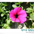 나무와 돌 이미지