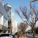 남부순환로325길 9 이미지