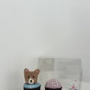 케이크1221
