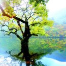 주왕산시외버스터미널 이미지