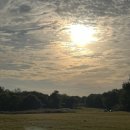 연화공원 | 서울 웨딩 야외스냅 추천｜노을공원 &amp; 연화필름 촬영 후기