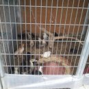 대복농장 이미지