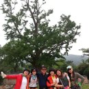 제주국제대학교 경영대학원 이미지