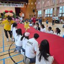 광남초교병설유치원 이미지