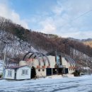 상촌면 물한계곡주차장 화장실 이미지