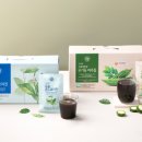 초록 환경 개발 이미지