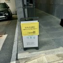 제주 이쁘냥 고양이미용실 | 대전 이쁘냥 고양이 미용실 무마취 미용 내돈내산 후기