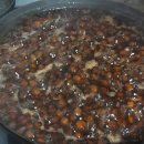 (주)티피팜 | 공차 피스타치오밀크티 단종으로 눈물흘리다 시켜본 네이쳐티 피스타치오 파우더 후기