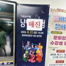 꽃바위문화관 다목적공연장 이미지