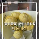 용산 이촌 꽃집 코코스플라워 내돈내산 찐추천 후기🤍
