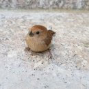 호반숲속 작은도서관 이미지