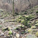 윗대티 등산로 이미지