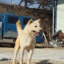 무쏘목장 이미지