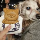 행복나들이불은마을 | 서울 근교 애견동반 추천 동두천 일본마을 리지모리 스튜디오 강아지와 나들이 다녀온 솔직후기