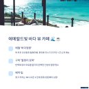 동로시장 | 5월 제주도 인스타 핫플, 실제 방문 후기