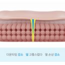 에스앤제이(SNJ) 이미지
