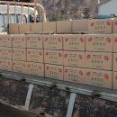 부산광역시 남구청 이미지