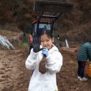 애정농장 이미지