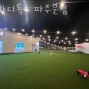 썸바디독스 파주분점 이미지