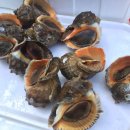 묵계교회 옆 이미지