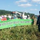 여흘마을 동행미디어 시대