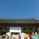금어로1 Daum카페