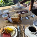 중동성황당 | [탄자니아] 3박 4일 사파리 투어_넷째날