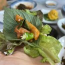 해변곰장어 이미지