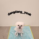 연두미용실
