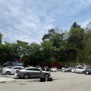 대통카클리닉 이미지