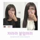 머리와사람들 | 홍대 붙임머리 추천 자라라붙임머리 내돈내산 솔직 후기