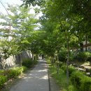 임항선그린웨이(북마산역) 이미지