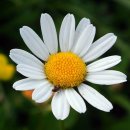 케이메디칼 이미지