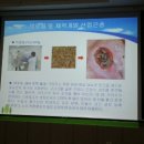 한국곤충연구소 이미지