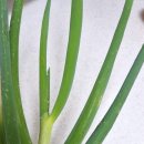 벼리농장 이미지